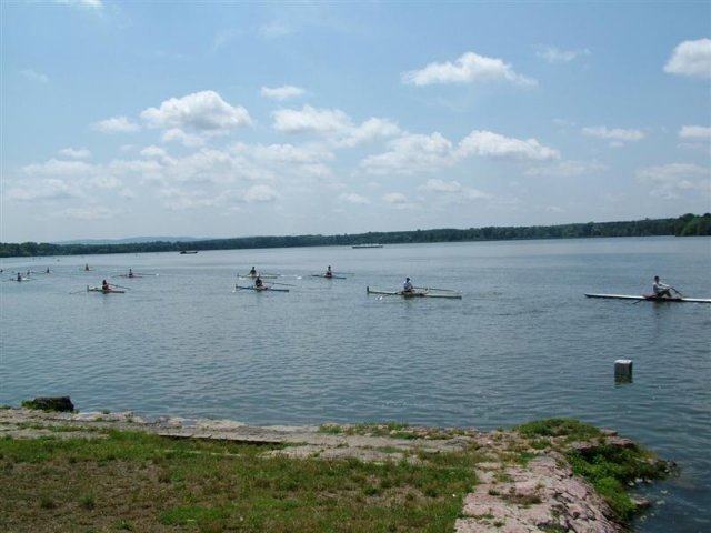 DSCF7229 (Medium)